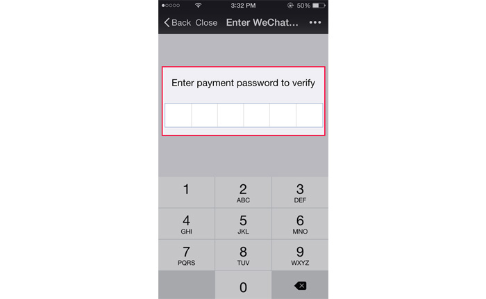 Enter payment password to verify your identity 