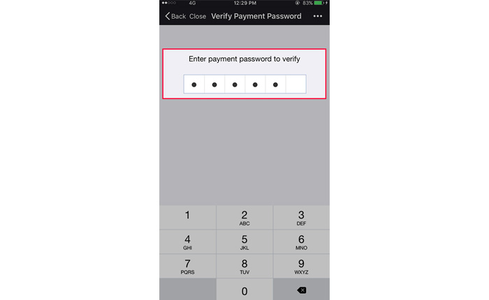 Enter the payment password to verify the transaction